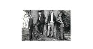 Read more about the article The Wilde Flowers