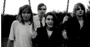 Read more about the article Elastica